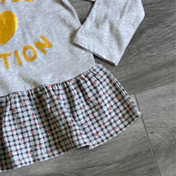 NWT First Impressions Girls Long Sleeve Ruffle 'Heart" Shirt-Gray-Size 24 Months - Picture 3 of 5